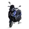 Arbian Blue